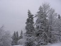 IMG_2912.JPG