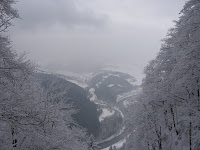 IMG_2922.JPG