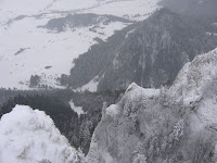 IMG_2935.JPG