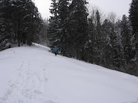 IMG_2961.JPG