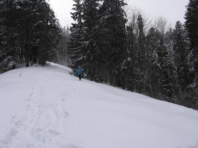 IMG_2961.JPG