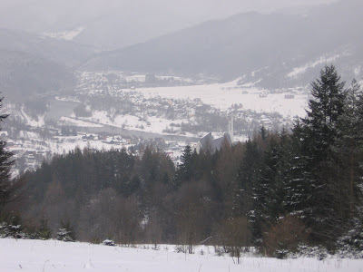 IMG_2995.JPG