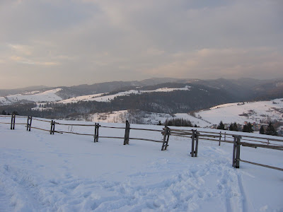 IMG_3547.JPG