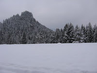 IMG_3146.JPG