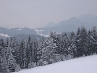 IMG_3193.JPG