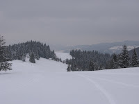 IMG_3212.JPG