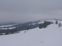 IMG_3236.JPG