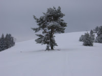 IMG_3246.JPG