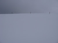 IMG_3275.JPG