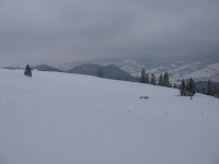 IMG_3273.JPG