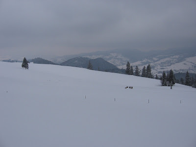 IMG_3273.JPG