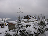 IMG_3285.JPG