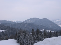 IMG_3297.JPG