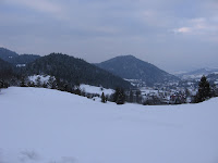 IMG_3308.JPG