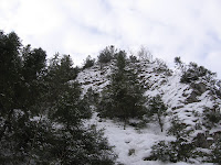 IMG_3339.JPG