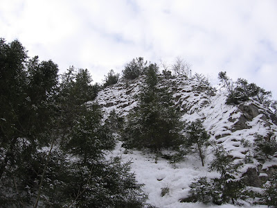 IMG_3339.JPG