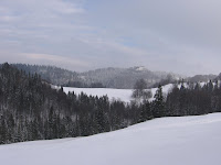 IMG_3365.JPG
