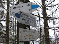 IMG_3383.JPG