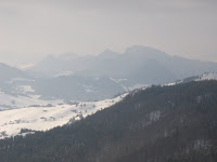 IMG_3417.JPG