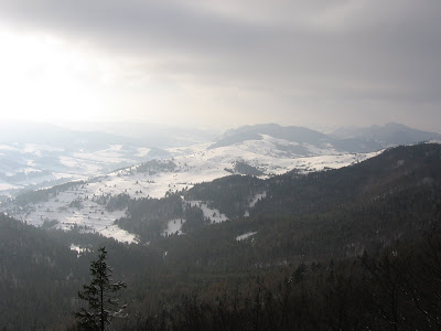 IMG_3419.JPG