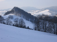 IMG_3489.JPG