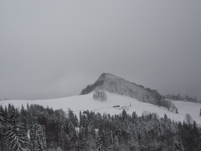 DSC07333.JPG