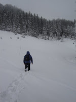 DSC07341.JPG