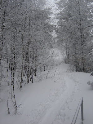 DSC07356.JPG