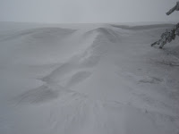 DSC07397.JPG