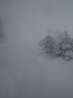 DSC07403.JPG