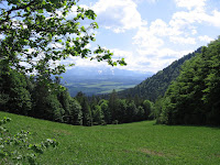 photo2009-05-23T14:57:10-000426.JPG