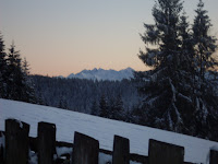 sdc11180.jpg
