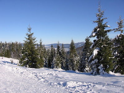 img_9502.jpg
