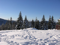 img_9518.jpg