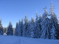 img_9531.jpg