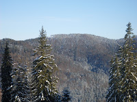 sdc11141.jpg