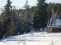 sdc11165.jpg