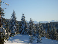 sdc11166.jpg