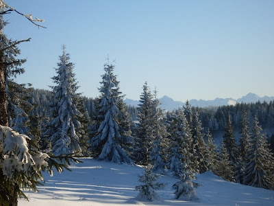 sdc11166.jpg