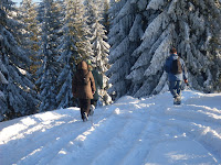 sdc11169.jpg