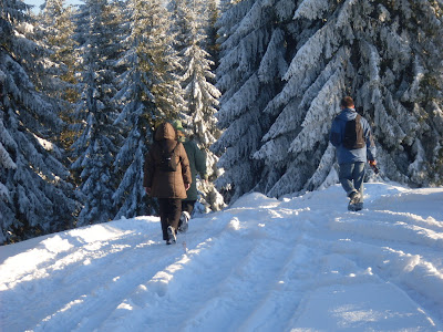 sdc11169.jpg