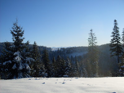 sdc11171.jpg