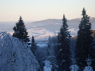 sdc11175.jpg