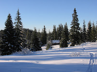 img_9542.jpg