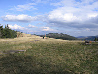 foto20061022T141056.JPG