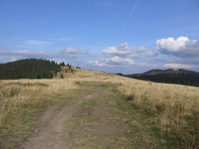 foto20061022T144956.JPG