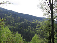 photo2009-05-09T14:12:14-000265.jpg