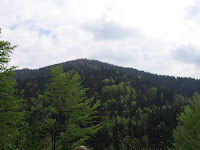 photo2009-05-09T14:15:03-000078.JPG