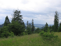 IMG_3945.JPG