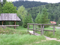 IMG_4008.JPG